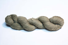 Load image into Gallery viewer, Vesica